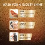 Streax Premium Proctective Shampoo