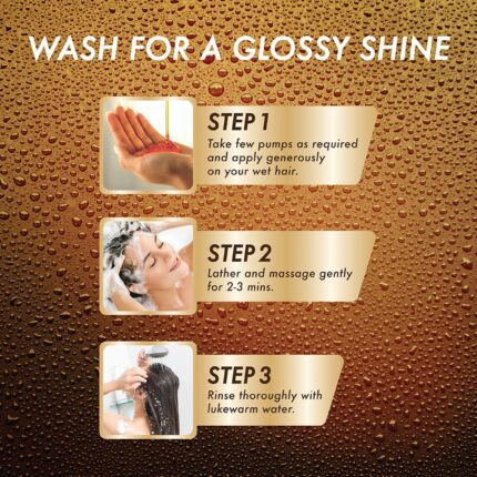 Streax Premium Proctective Shampoo